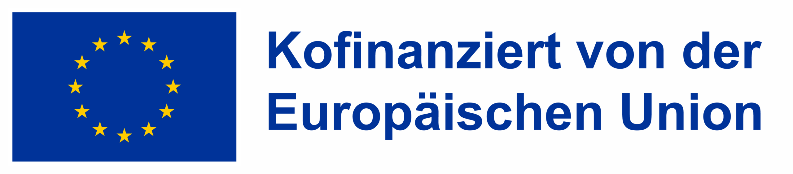 Co-funded by the European Union